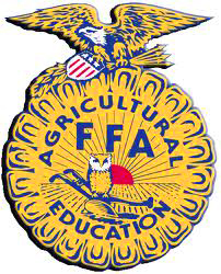 Buy FFA Pork